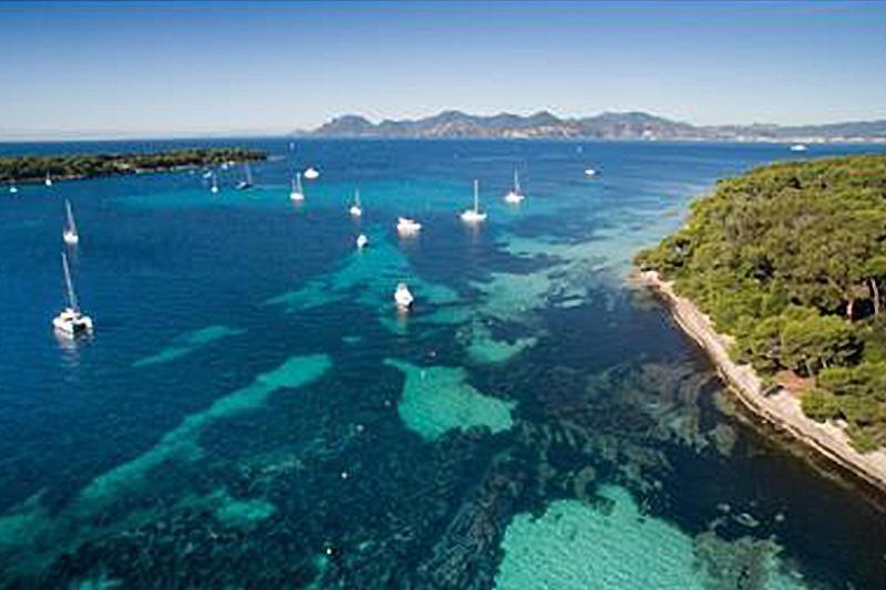 Beautiful And Cozy Apartment In The Heart Of Cannes Eksteriør bilde
