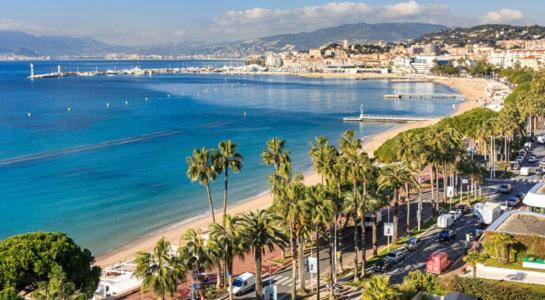 Beautiful And Cozy Apartment In The Heart Of Cannes Eksteriør bilde